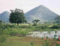 Terreno del Centro Internazionale per lo Sviluppo Sostenibile AMRITA BHOOMI: il serbatoio idrico naturale.