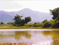 Terreno del Centro Internazionale per lo Sviluppo Sostenibile AMRITA BHOOMI: il serbatoio idrico naturale.